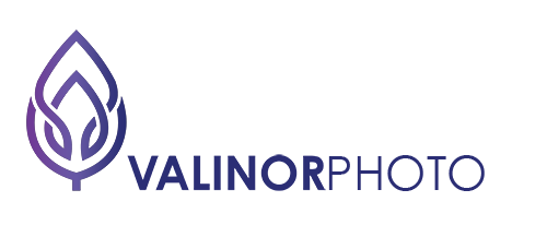 vphoto-logo-watermark